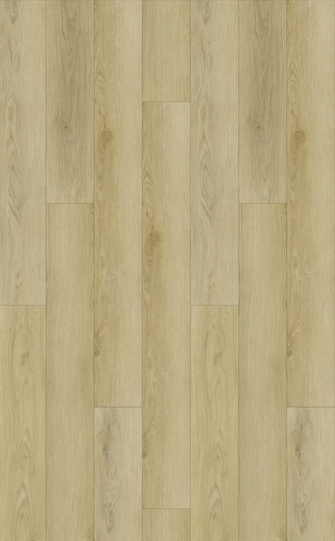 Natural Dune Oak planks laid out