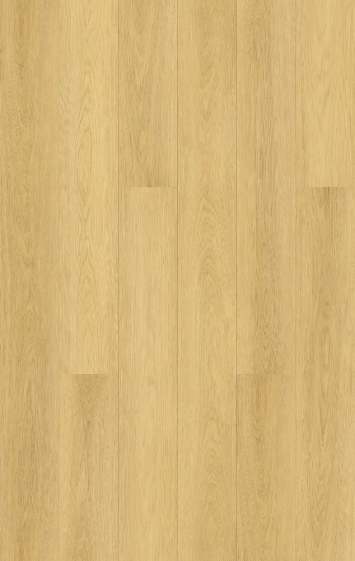 Chalk Oak planks laid out