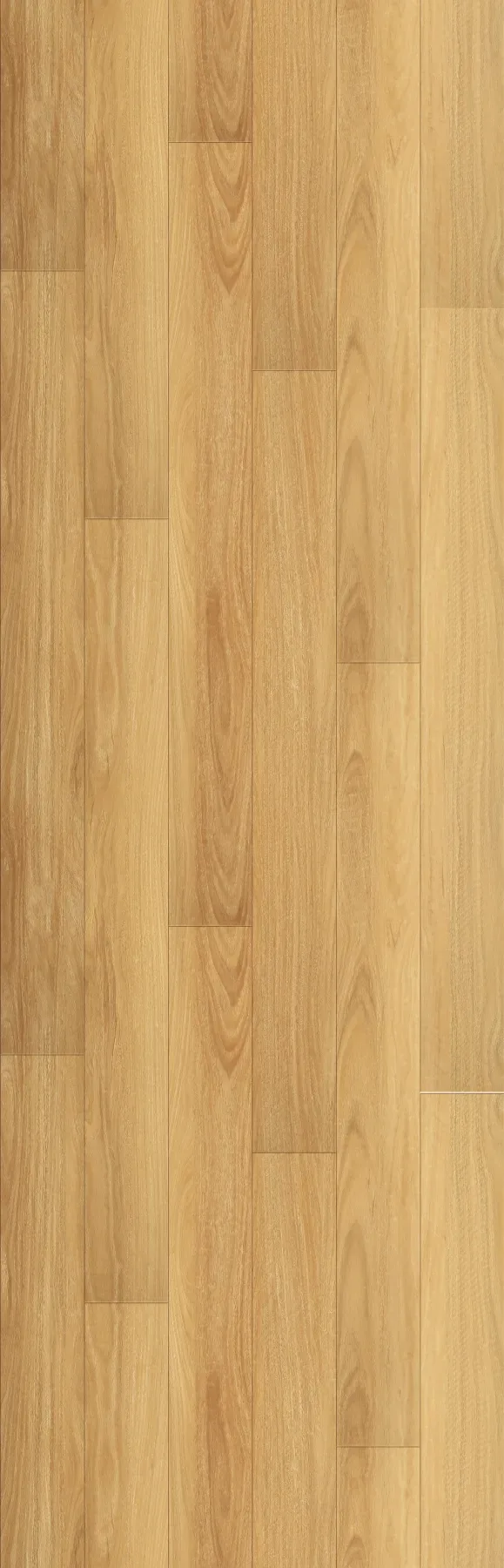 Everline Warm Blackbutt planks laid