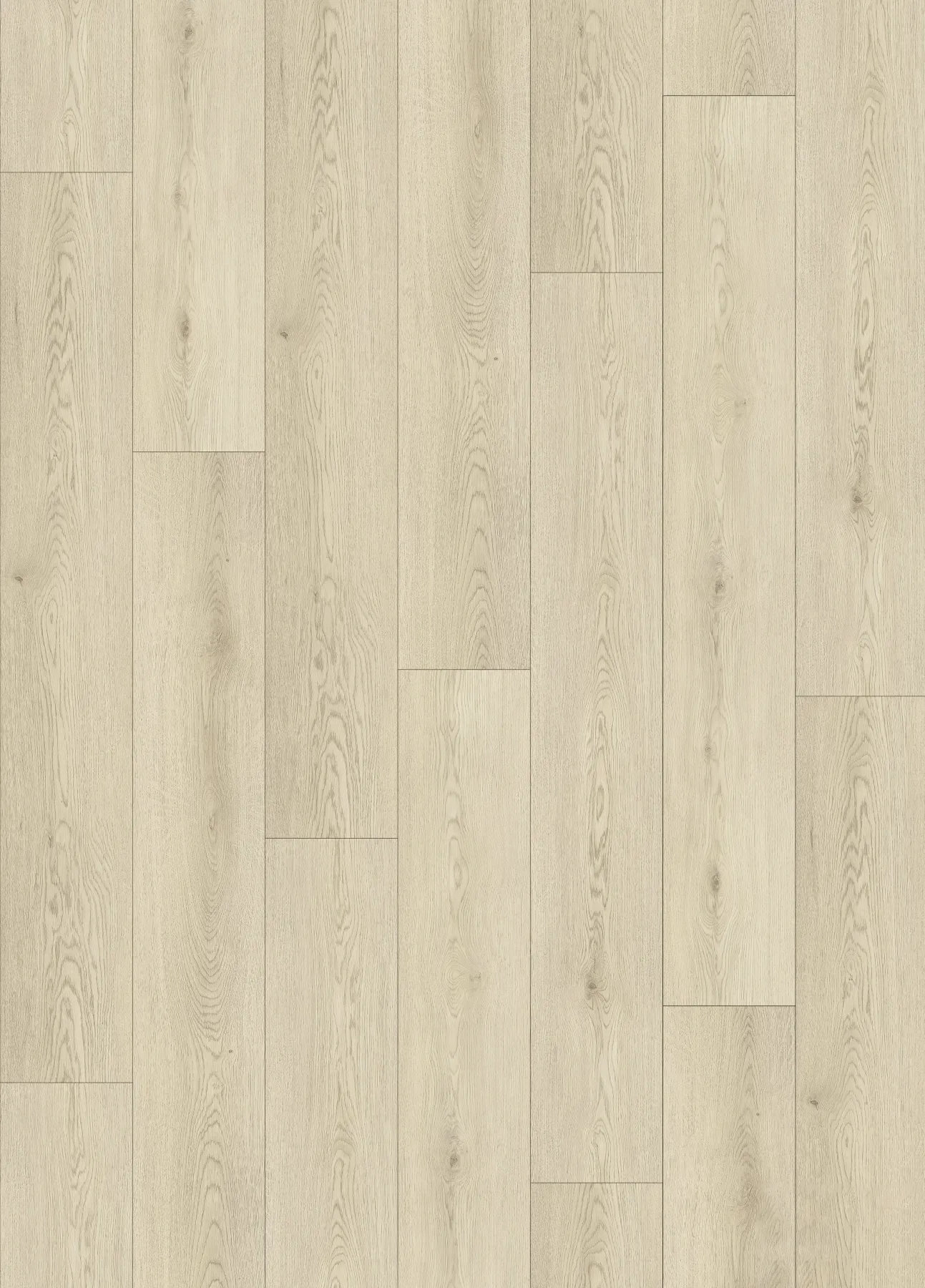 Biscuit Oak planks laid out