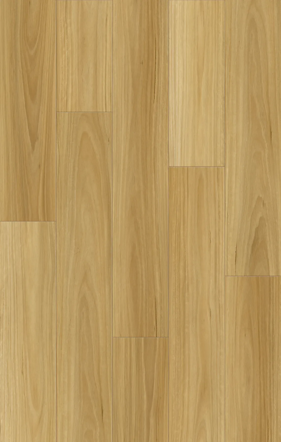 Warm Spotted Gum planks laid out